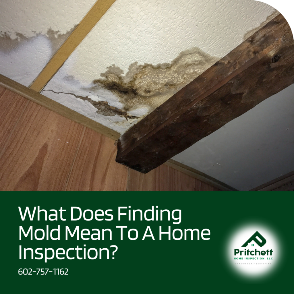 What Does Finding Mold Mean To The Home Inspection? - home inspector Chandler AZ